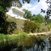 /album/www-wildandwonderful-de/overzicht-magnolia-vanaf-vijver-jpg/